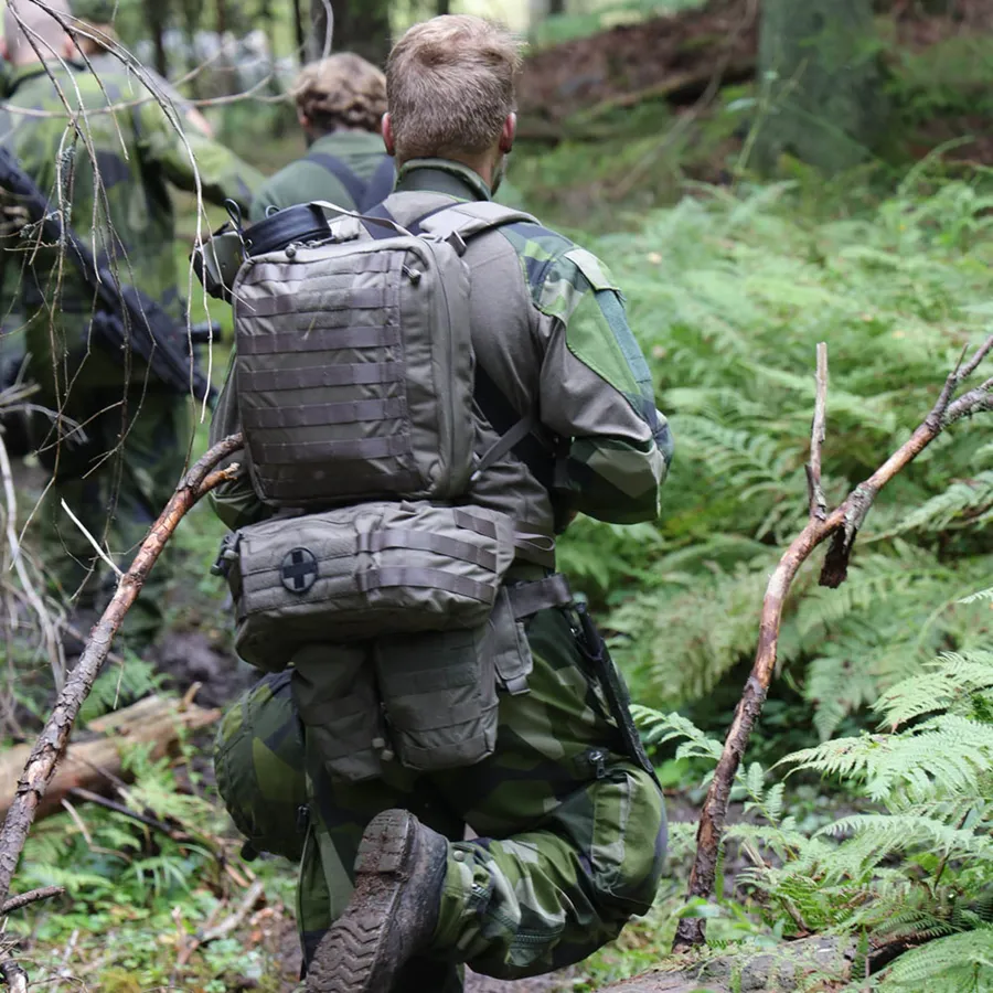 E-Swe_4307