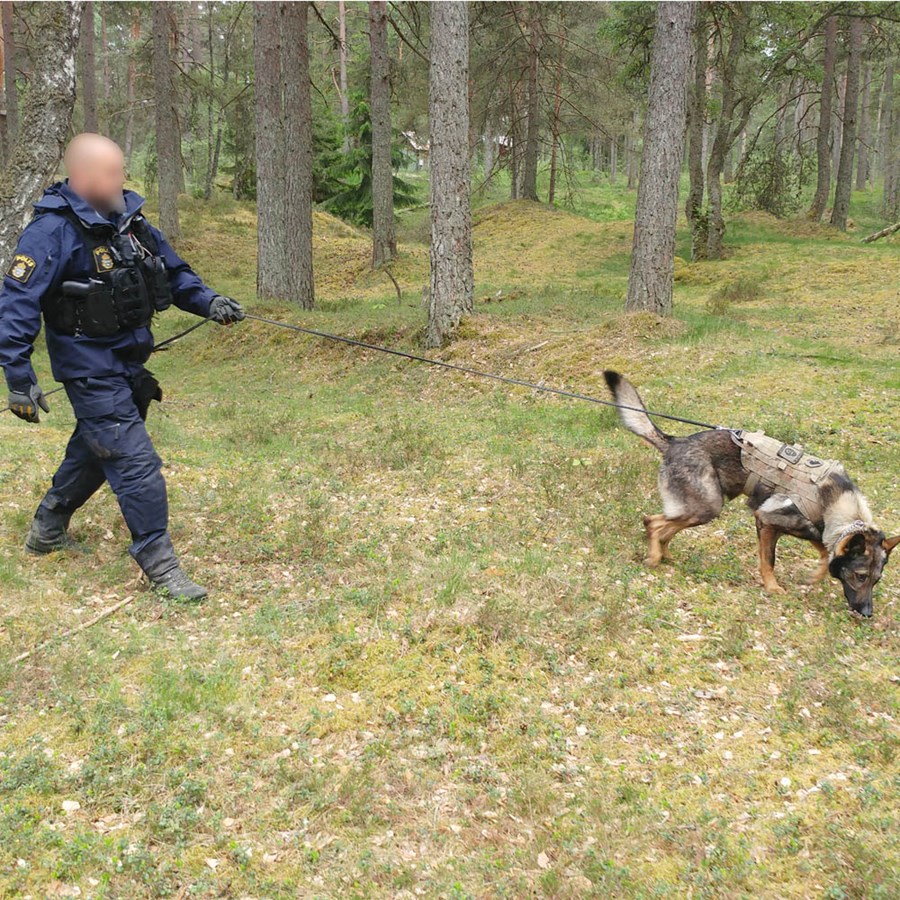 E_18-01162-01_144500